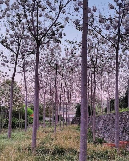 La Caseta De Rotova - Casa Rural Para Desconectar Kültér fotó